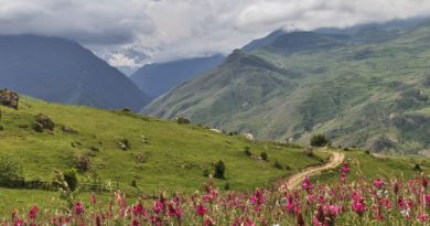 Северная Осетия: Дигория — фото 5