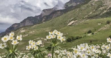 Северная Осетия: Дигория — фото 9