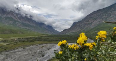 Золотое кольцо Осетии: Кармадон, Даргавс и Фиагдон — фото 6