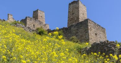 Горная Ингушетия: к башням Вовнушки и Эрзи — фото 7