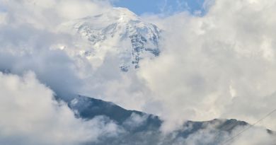 Достопримечательность Даргавский некрополь / «Город мёртвых» /Даргавсский склеповый могильник